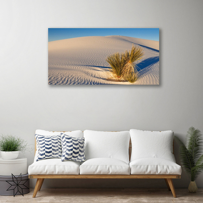 Canvas Kunstdruck Wüste Landschaft