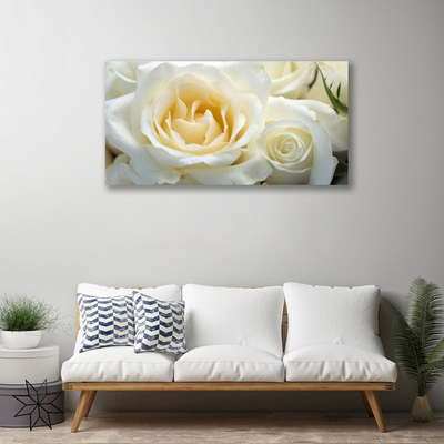 Canvas Kunstdruck Roses Pflanzen