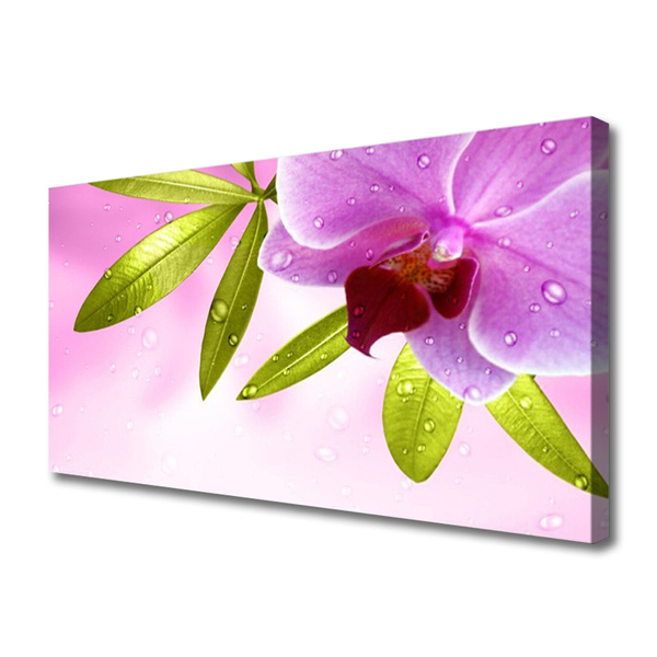Canvas Kunstdruck Blume Blätter Pflanzen