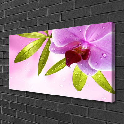 Canvas Kunstdruck Blume Blätter Pflanzen
