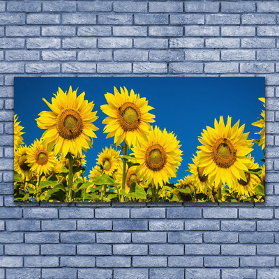 Tulup Leinwand-Bilder Wandbild Canvas Kunstdruck 125x50 Sonnenblumen Pflanzen 