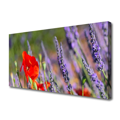 Canvas Kunstdruck Blumen Pflanzen