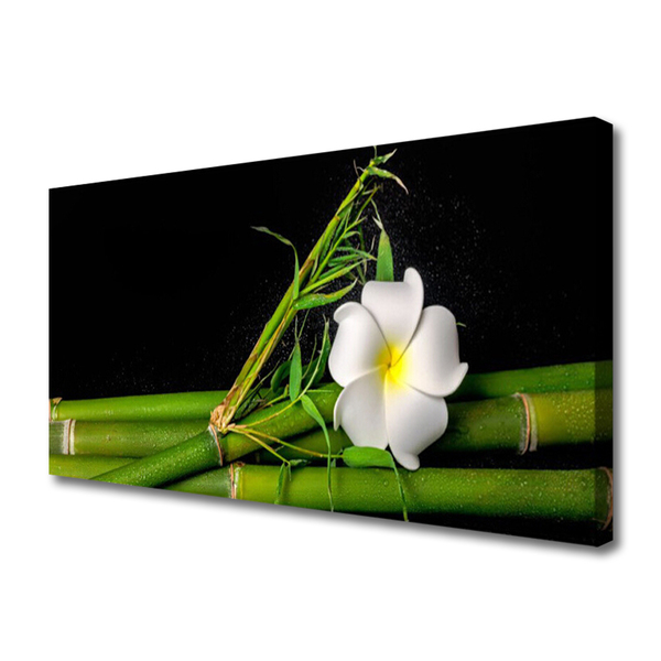 Canvas Kunstdruck Bambus Blume Pflanzen