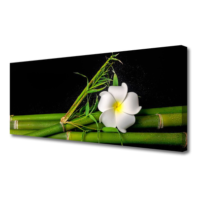 Canvas Kunstdruck Bambus Blume Pflanzen