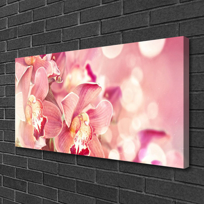 Canvas Kunstdruck Blumen Pflanzen