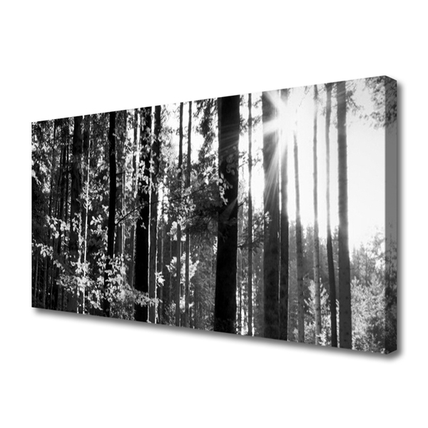 Canvas Kunstdruck Wald Natur