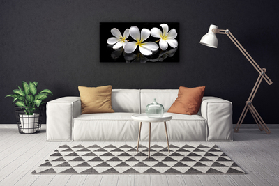 Canvas Kunstdruck Blumen Pflanzen