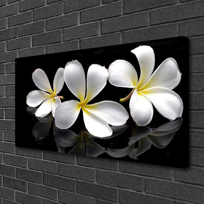 Canvas Kunstdruck Blumen Pflanzen