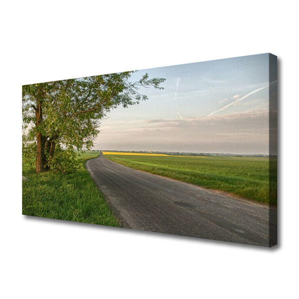 strase-baum-gras-landschaft