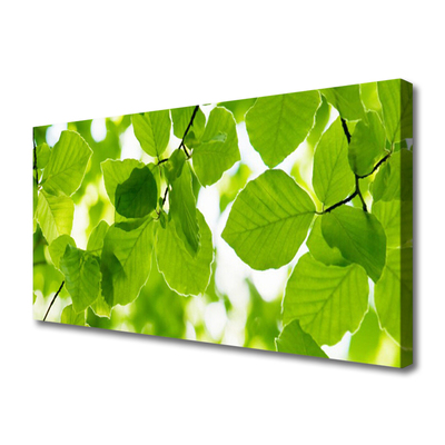 Canvas Kunstdruck Blätter Pflanzen