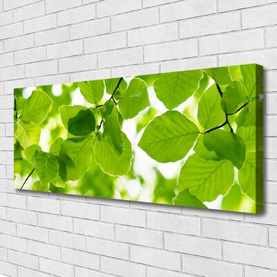 Canvas Kunstdruck Blätter Pflanzen