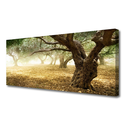 Canvas Kunstdruck Bäume Gras Natur