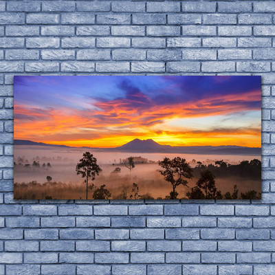 Canvas Kunstdruck Bäume Nebel Landschaft