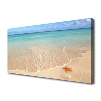 Canvas Kunstdruck Meer Strand Seestern Landschaft