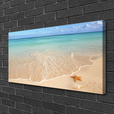 Canvas Kunstdruck Meer Strand Seestern Landschaft