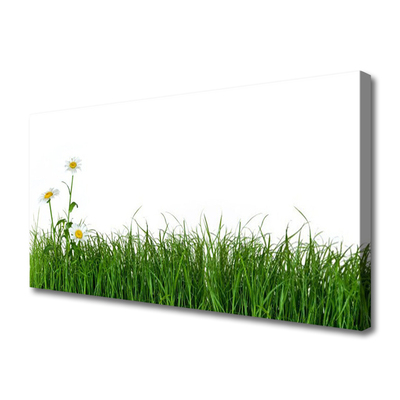 Canvas Kunstdruck Gras Natur