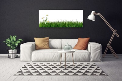 Canvas Kunstdruck Gras Natur