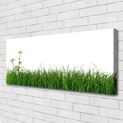 Canvas Kunstdruck Gras Natur