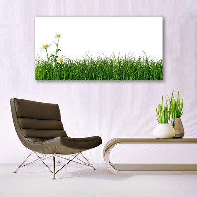 Canvas Kunstdruck Gras Natur