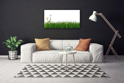 Canvas Kunstdruck Gras Natur