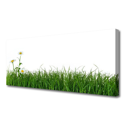 Canvas Kunstdruck Gras Natur