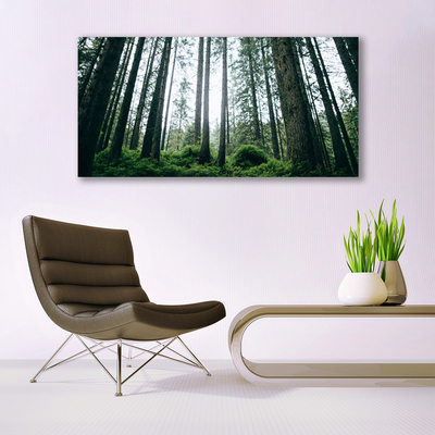 Canvas Kunstdruck Wald Natur