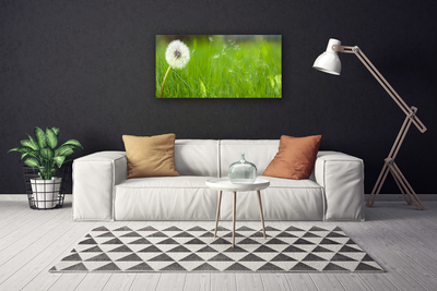 Canvas Kunstdruck Pusteblume Gras Pflanzen