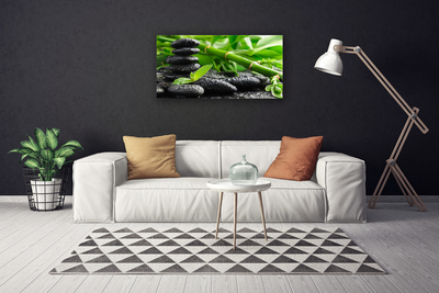 Canvas Kunstdruck Bambus Steine Pflanzen