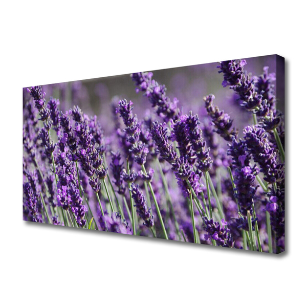 Canvas Kunstdruck Blumen Pflanzen