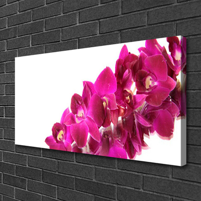 Canvas Kunstdruck Blumen Pflanzen