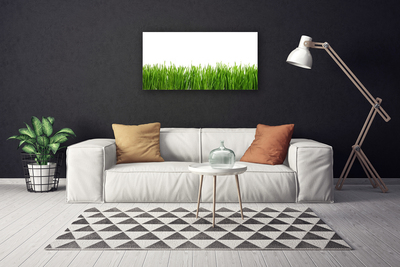 Canvas Kunstdruck Gras Natur