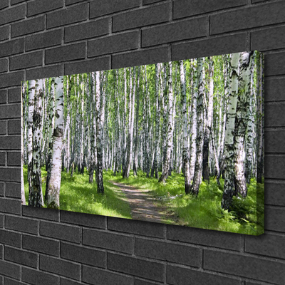 Canvas Kunstdruck Wald Fußpfad Natur