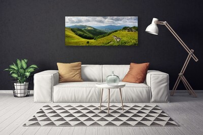 Canvas Kunstdruck Gebirge Wiese Landschaft