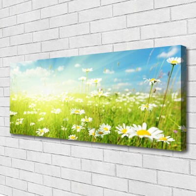 Canvas Kunstdruck Wiese Gänseblümchen Natur