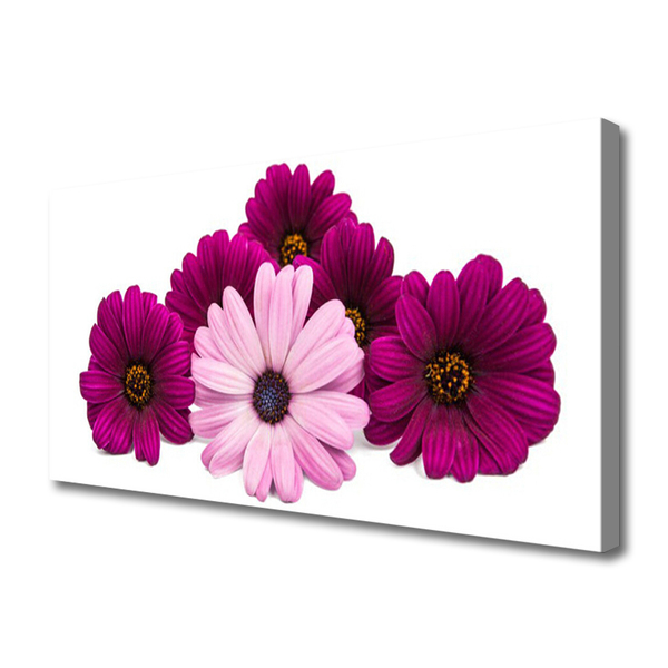 Canvas Kunstdruck Blumen Pflanzen