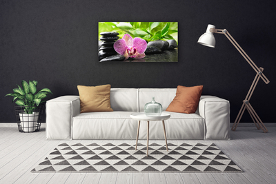 Canvas Kunstdruck Blumen Steine Pflanzen