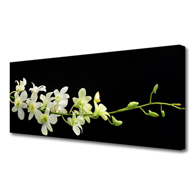 Canvas Kunstdruck Blumen Pflanzen