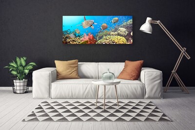 Canvas Kunstdruck Korallenriff Landschaft
