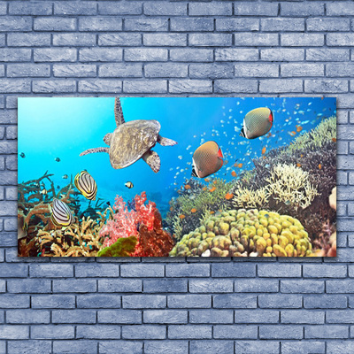Canvas Kunstdruck Korallenriff Landschaft