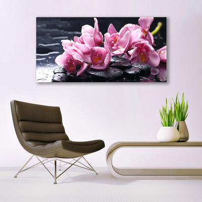 Canvas Kunstdruck Blumen Steine Pflanzen