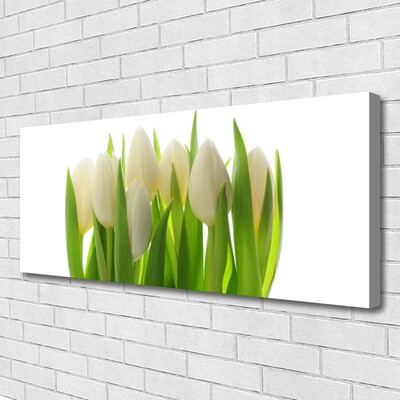 Canvas Kunstdruck Tulpen Pflanzen