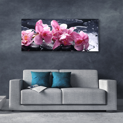 Canvas Kunstdruck Blumen Steine Pflanzen