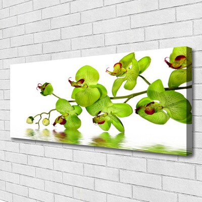 Canvas Kunstdruck Blumen Pflanzen