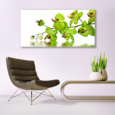 Canvas Kunstdruck Blumen Pflanzen