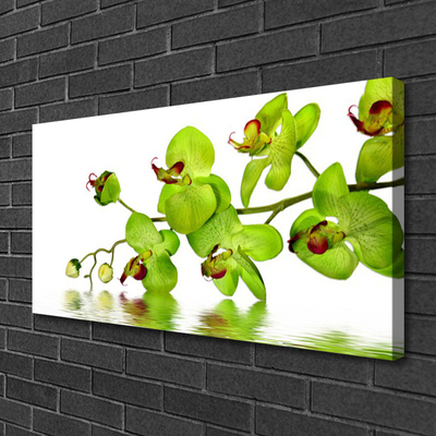 Canvas Kunstdruck Blumen Pflanzen