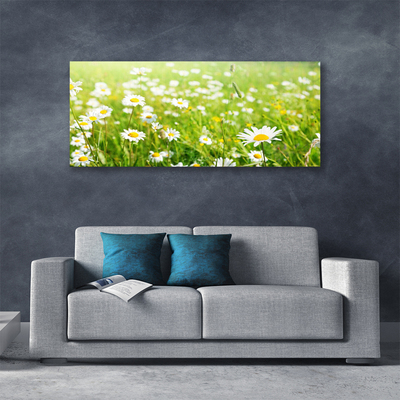 Canvas Kunstdruck Wiese Gänseblümchen Natur