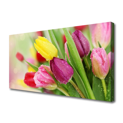 Canvas Kunstdruck Tulpen Pflanzen