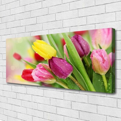 Canvas Kunstdruck Tulpen Pflanzen