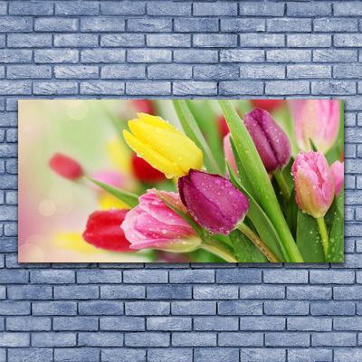 Canvas Kunstdruck Tulpen Pflanzen