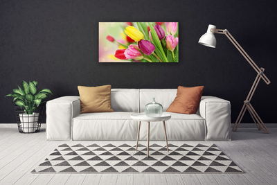 Canvas Kunstdruck Tulpen Pflanzen